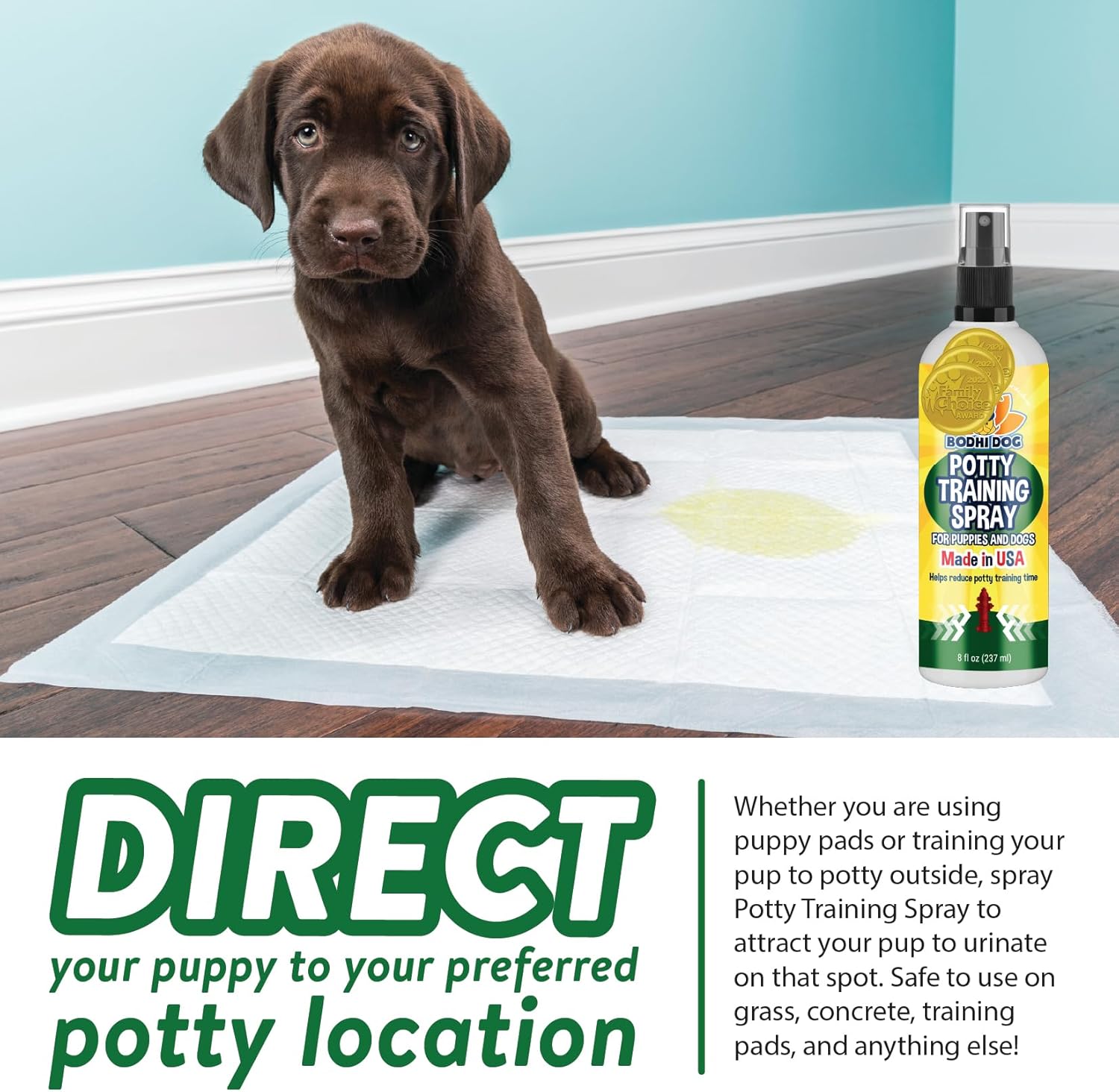 Bodhi Dog Potty Training Spray | Indoor Outdoor Potty Training Aid for Dogs & Puppies | Puppy Potty Training for Potty Pads | Made in USA : Pet Supplies