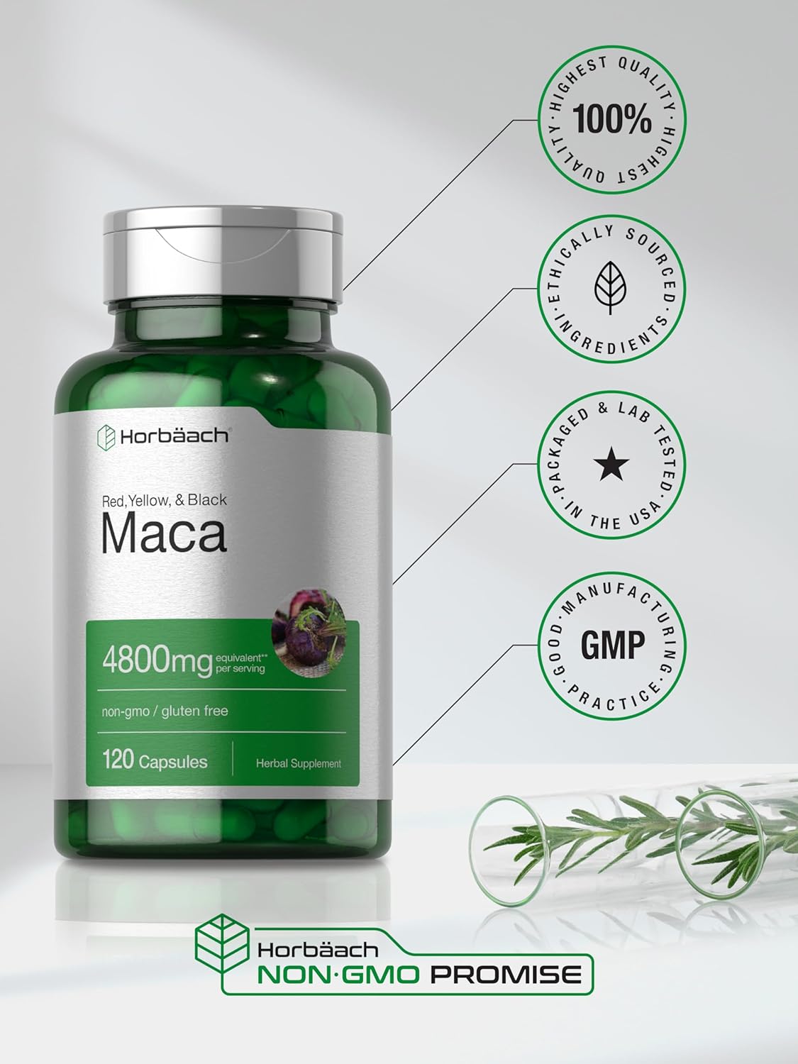 Horbäach Maca Root Capsules | 120 Pills | High Potency Extract for Men and Women | Non-GMO and Gluten Free Formula : Health & Household