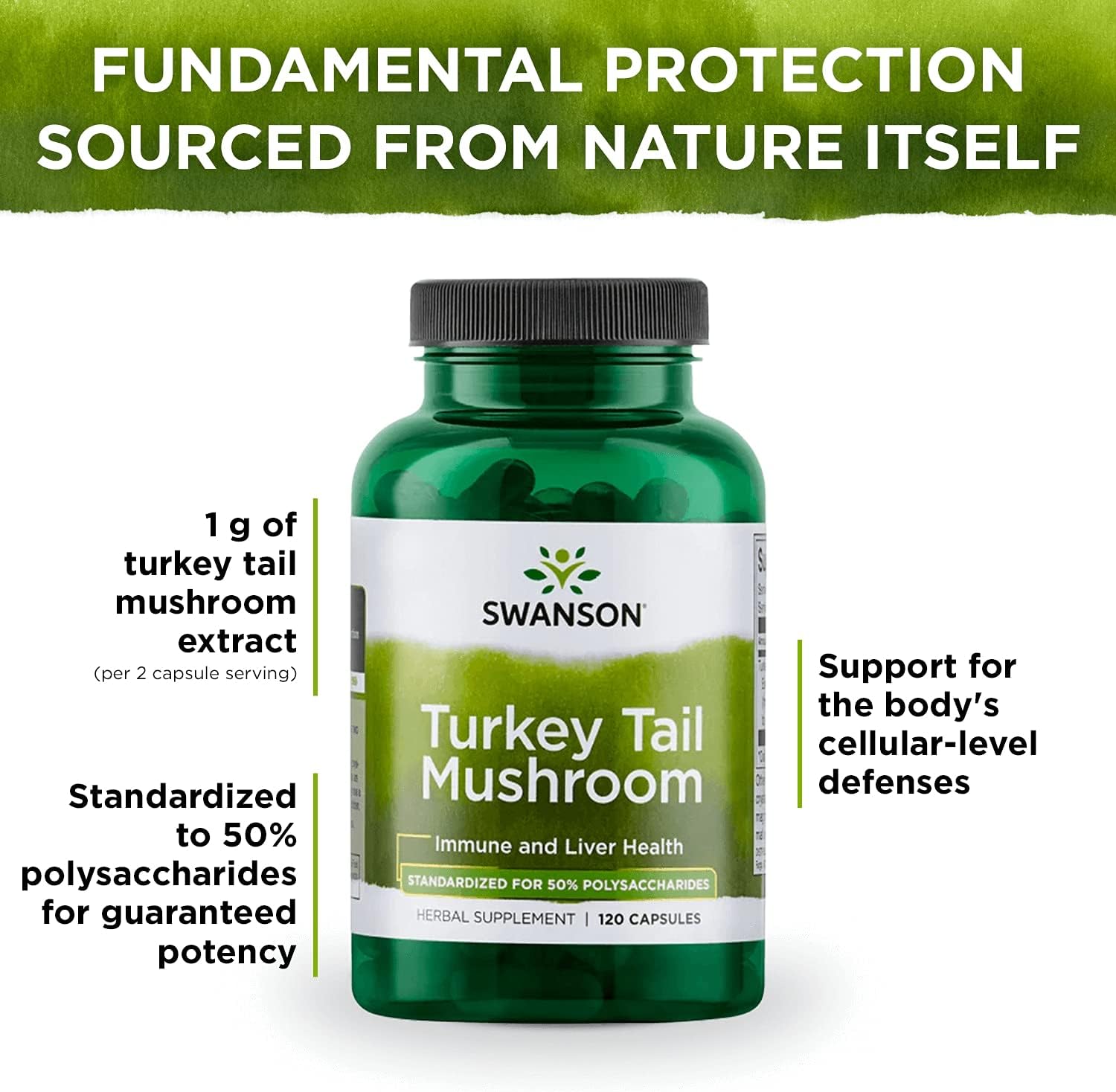 Swanson Turkey Tail Mushroom - Herbal Supplement - Natural Formula - (120 Capsules, 500 mg) : Health & Household