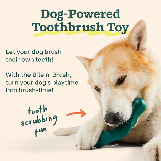 Woof The Bite N' Brush - Dog Toothbrush Toy - Scrub Plaque And Tartar From Your Dog'S Teeth And Mouth - Dog Dental Chew Toy - Comes With 4 Refills - Large