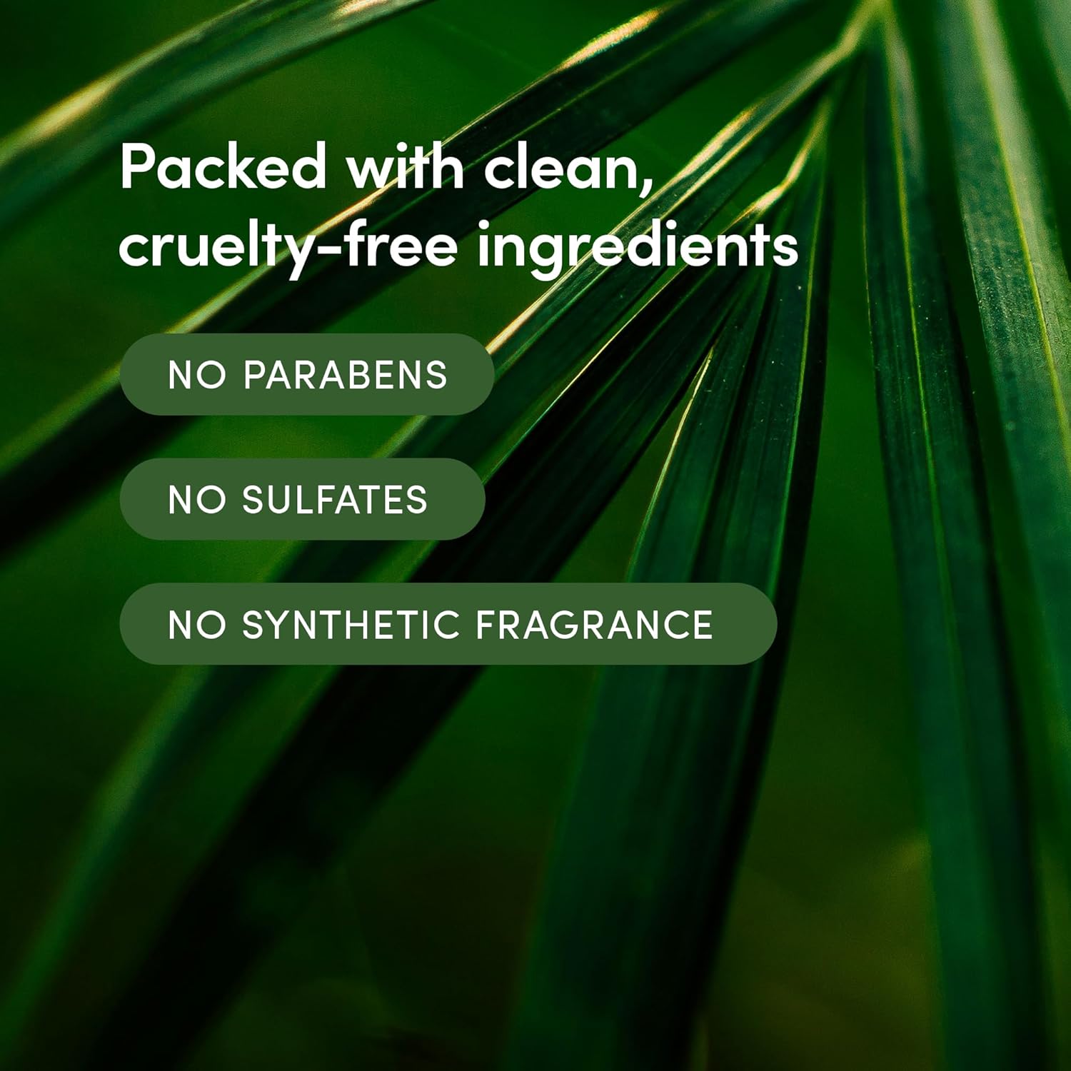 Lather - Bamboo Crème Body Moisturizer, 8 Fl Oz - Daily Hydrating Body Lotion - Essential Oils & Vitamins - Shea Butter, Avocado Oil, Aloe, & Chamomile - Vegan & Cruelty Free - Beauty & Skin Care : Body Lotions : Beauty & Personal Care