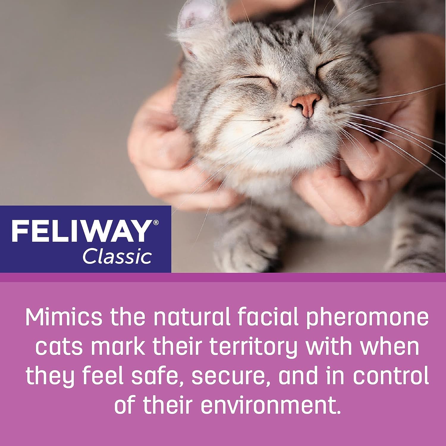 FELIWAY Classic Cat Calming Pheromone, 30 Day Refill - 3 Pack,Purple : Pet Relaxants : Pet Supplies