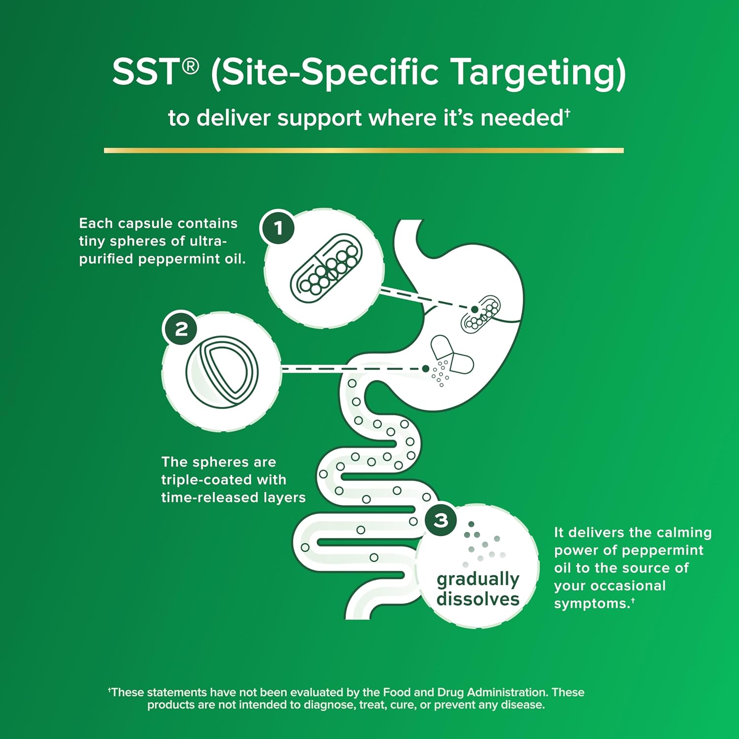 Ibgard Gut Health Supplement, Peppermint Oil Capsules For Abdominal Comfort, 96 Capsules : Health & Household