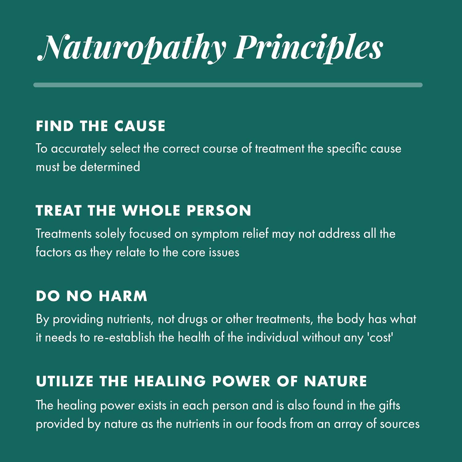 Michael'S Health Naturopathic Programs Liver Wellness - 90 Vegetarian Tablets - Contains Nutrients For Liver Support - Kosher - 30 Servings : Health & Household