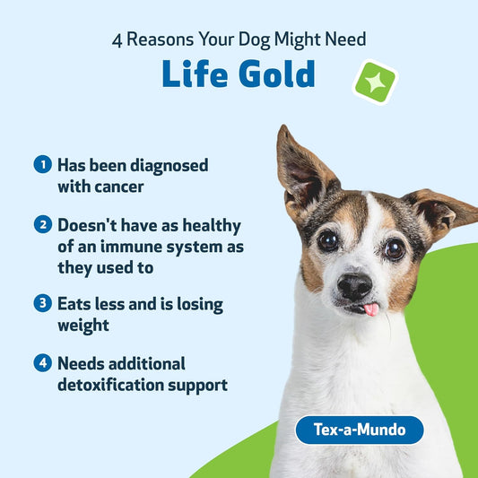 Pet Wellbeing Life Gold For Dogs - Vet-Formulated - Immune Support And Antioxidant Protection - Natural Herbal Supplement 2 Oz (59 Ml)