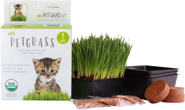 Organic Cat Grass Kit - Includes 3 Trays, Soil Pucks, And 3 Packs Non Gmo Wheatgrass Seed - A Healthy Treat For Cats, Dogs, Rabbits, More