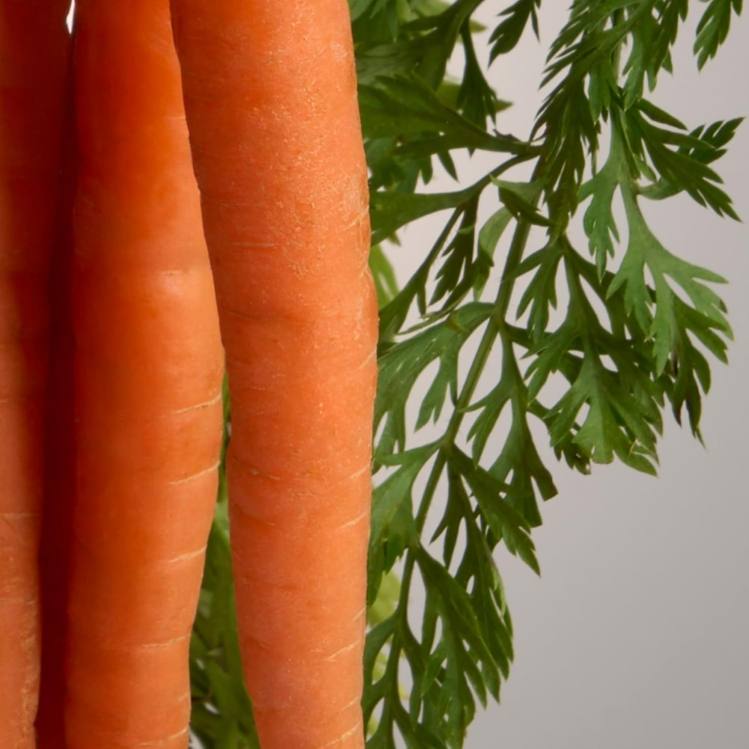 Bliss Mighty Biome Skin Balancing Milky Toner + Serum - 4 Fl Oz - Pre & Post Biotics Formula + Barrier Aid Complex With Ceramides & Squalane - Radiant Complexion - Clean - Vegan & Cruelty-Free : Beauty & Personal Care