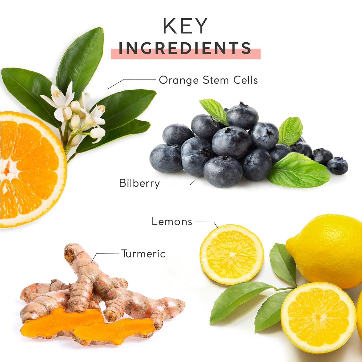 Mychelle Dermaceuticals Fruit Enzyme Cleanser : Beauty & Personal Care