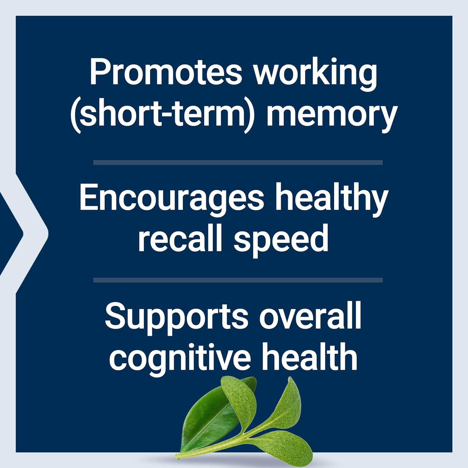 Life Extension Neuro-Mag Magnesium L-Threonate Powder (Tropical Punch) - Ultra-Absorbable - Supports Memory, Focus, Cognitive Function & Mood - Gluten No, Non-GMO, Vegetarian (30 Servings) : Health & Household