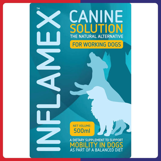 Cortaflex Canine Inflamex Dog Joint Support Liquid Solution
