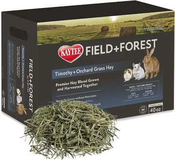 Kaytee Field+Forest Timothy+Orchard Grass Hay 40 Ounces