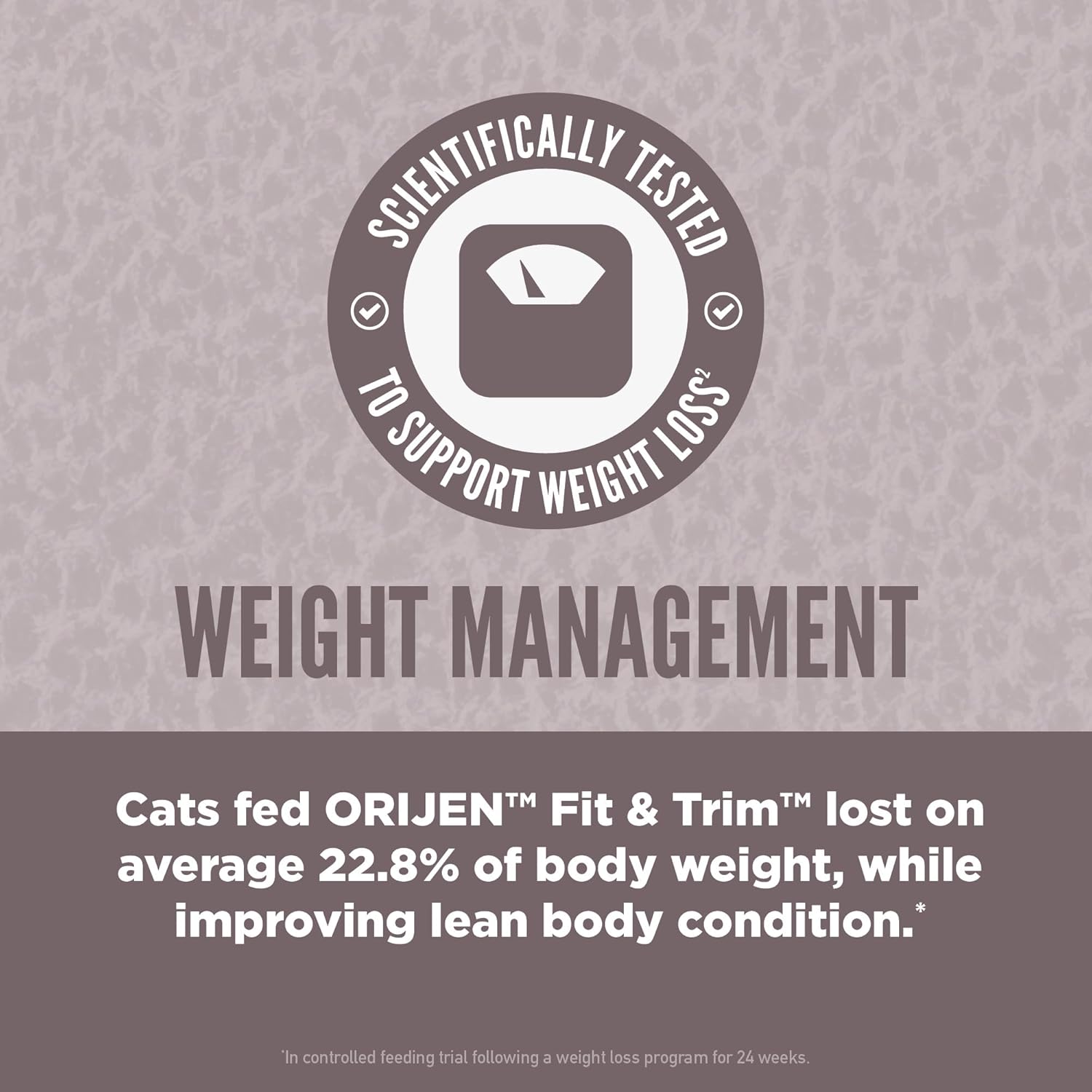 ORIJEN Fit and Trim Dry Cat Food, Grain Free Cat Food for Adult Cats, With WholePrey Ingredients, 12lb : Everything Else