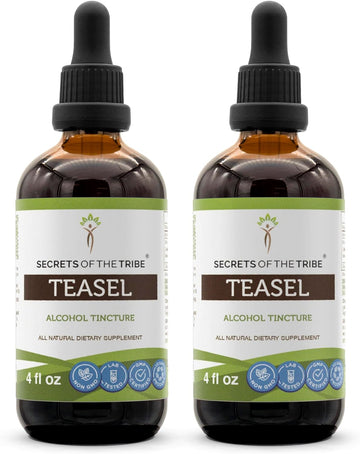 Secrets of the Tribe Teasel Alcohol Liquid Extract, Teasel (Dipsacus fullonum, Dipsacus sylvestris) Dried Root Tincture Supplement (2x4 FL OZ)
