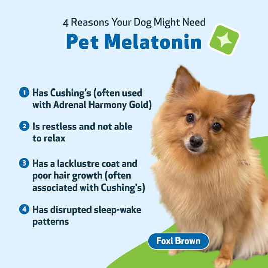 Pet Wellbeing Pet Melatonin For Dogs - Cushing'S Support, Adrenal Cortisol Balance, Helps Maintain Normal Sleep Patterns - Veterinarian-Formulated - Liquid Supplement 2 Fl Oz (59 Ml)