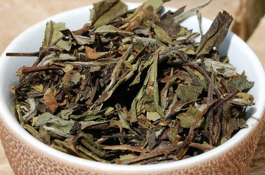 Steenbergs Organic White Tea Loose Leaf Bag 500G