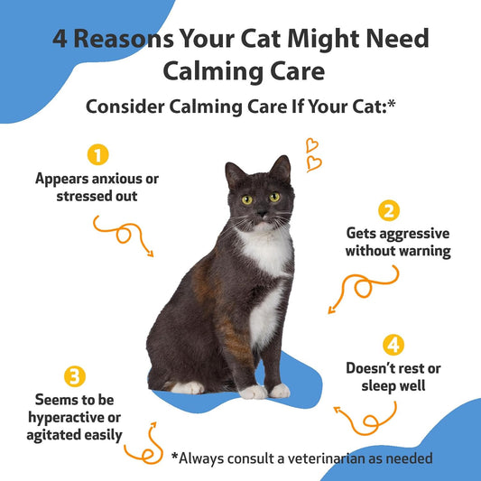 Pet Wellbeing Calming Care For Cats - Vet-Formulated - Supports Calm & Relaxed Nervous System - Natural Herbal Supplement 2 Oz (59 Ml)