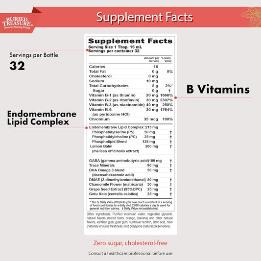 Buried Treasure - Added Attention - Children'S Learning Support With Gaba Dha Vitamin B And Herbal Blend - Aid Healthy Brain Functions - Improved Short-Term Auditory Memory Focus & Behavior 16.54 Oz