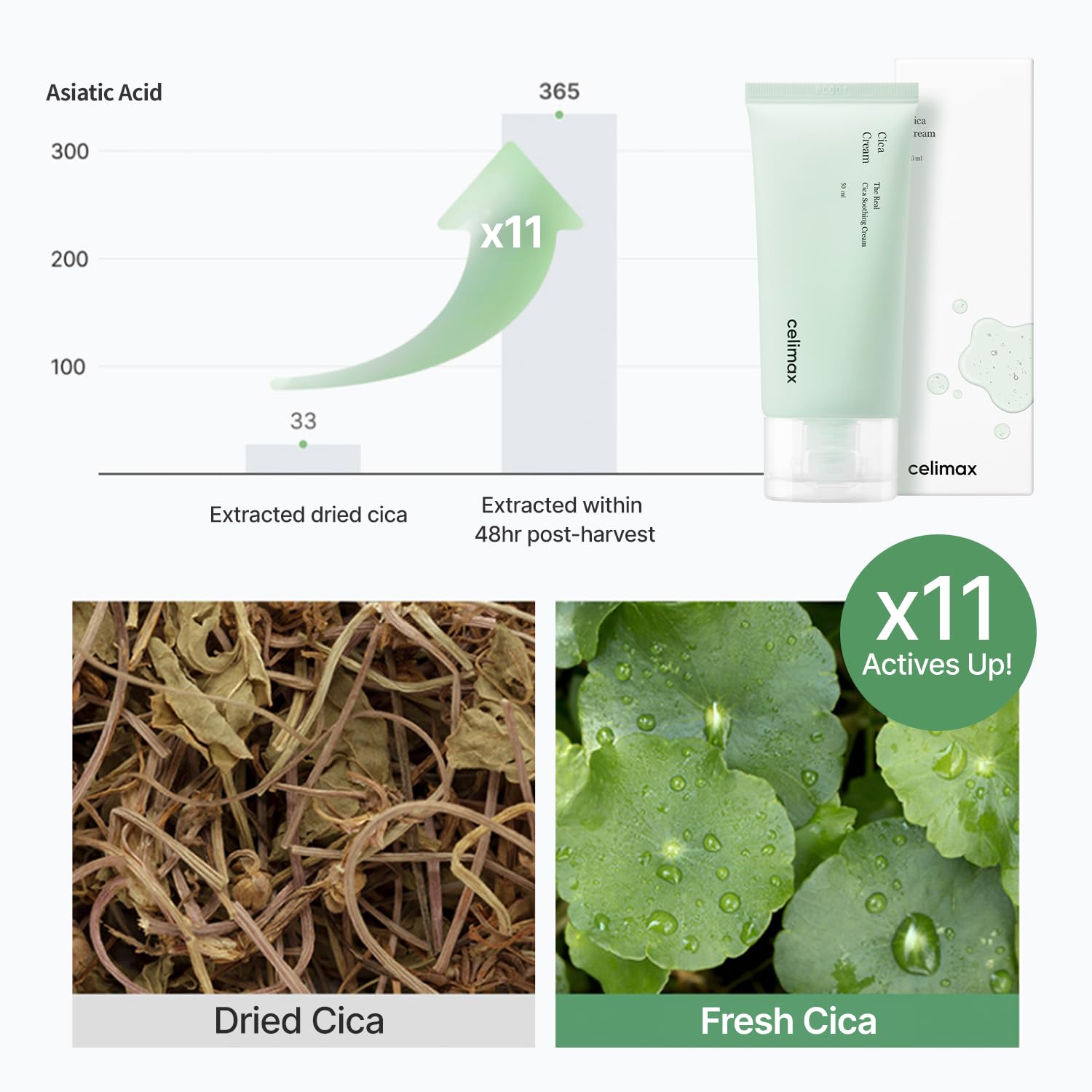 Celimax The Real Cica Soothing Cream | With Fresh Cica Extract, Oil Free, Hydrating, Moisturizing, Calming, Dry Oily Combination Sensitive Skin, Korean Skincare, Lightweight Gel Cream, 50Ml : Beauty & Personal Care