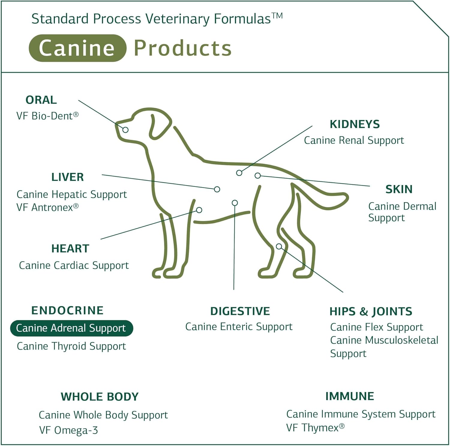 Standard Process Canine Adrenal Support - Canine Support Supplement for Adrenal Health - Nutritional Supplement for Liver & Kidney Support - Powder Dog Supplement Formula to Aid Adrenal Glands - 100 g : Adrenal Extracts : Pet Supplies