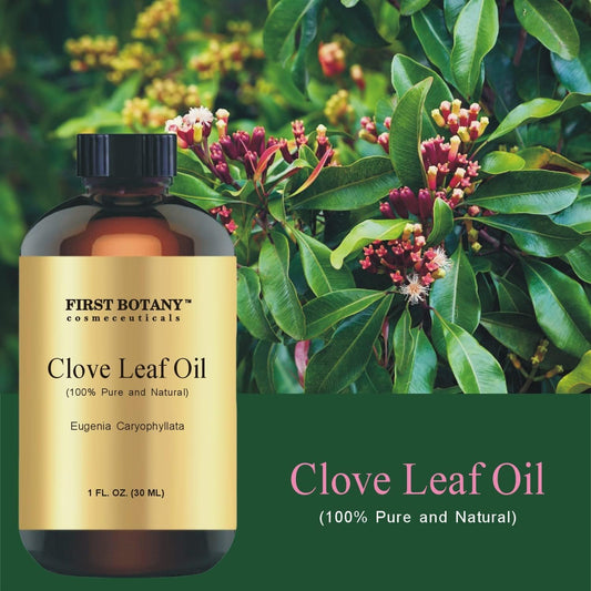 First Botany, 100% Pure Clove Essential Oil - Premium Clove Oil For Aromatherapy, Massage, Topical & Household Uses - 1 Fl Oz (Clove)