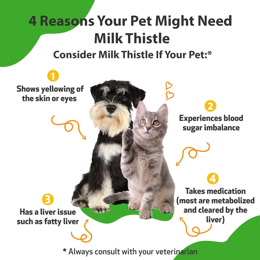 Pet Wellbeing Milk Thistle For Dogs & Cats - Supports Liver Health, Protects Liver - Glycerin-Based Natural Herbal Supplement - 4 Oz (118 Ml)