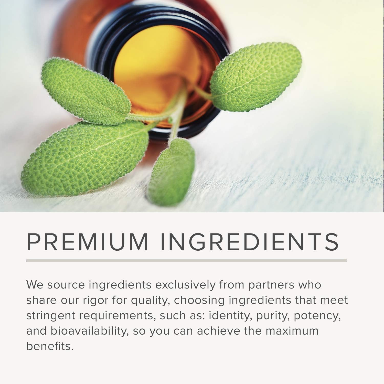 Integrative Therapeutics - Y Formula - Herbal Blend - Supports Healthy Microbial Balance* - 90 Softgels : Health & Household