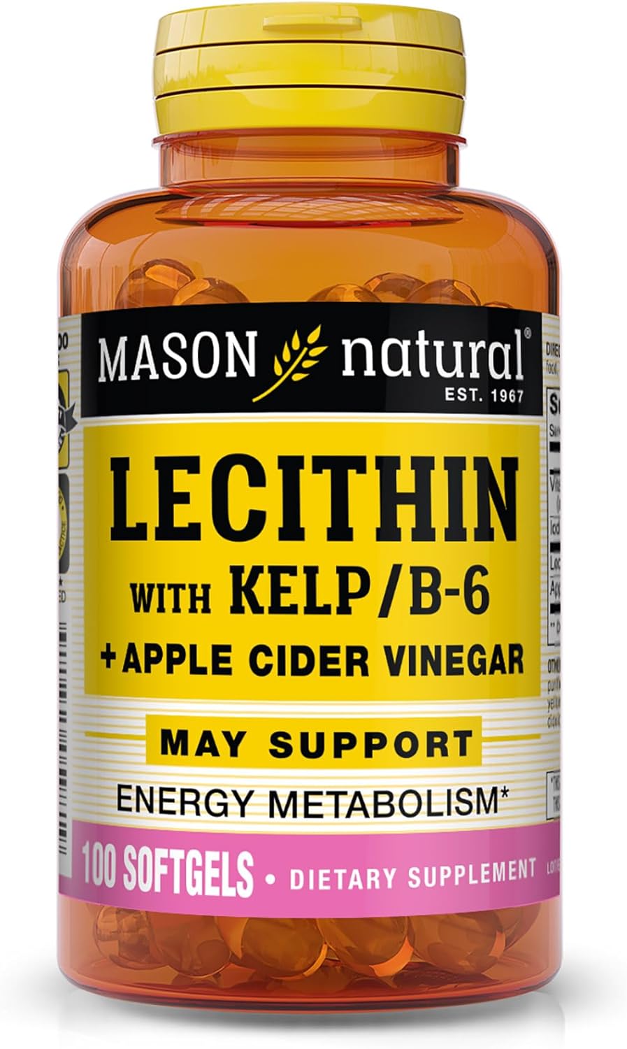 MASON NATURAL Lecithin with Kelp/Vitamin B6 Plus Apple Cider Vinegar - Dual Action Formula, Healthy Energy Metabolism, Promotes Liver and Reproductive Health, Promotes General Wellness, 100 Softgels