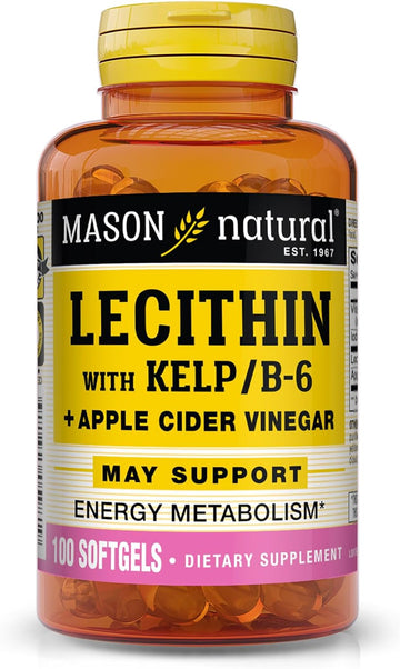 MASON NATURAL Lecithin with Kelp/Vitamin B6 Plus Apple Cider Vinegar - Dual Action Formula, Healthy Energy Metabolism, Promotes Liver and Reproductive Health, Promotes General Wellness, 100 Softgels