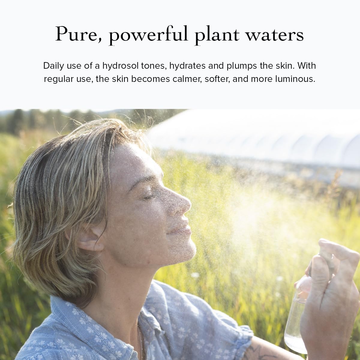 Evanhealy Sonoma Rose Petal Hydrosoul | Copper Distilled Hydrosol | Hydrating & Balancing Face Toner For Mature, Delicate, Fragile & Devitalized Skin : Beauty & Personal Care