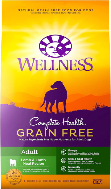 Wellness Complete Health Grain-Free Dry Dog Food, Natural Ingredients, Made in USA with Real Meat, For All Lifestages (Lamb, 24-Pound Bag)
