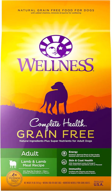 Wellness Complete Health Grain-Free Dry Dog Food, Natural Ingredients, Made In Usa With Real Meat, For All Lifestages (Lamb, 24-Pound Bag)