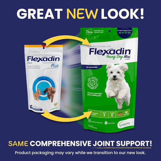 Vetoquinol Flexadin Hip and Joint Supplement with Glucosamine for Dogs, Joint Support Chew with Green-Lipped Mussel and MSM, 90-Count