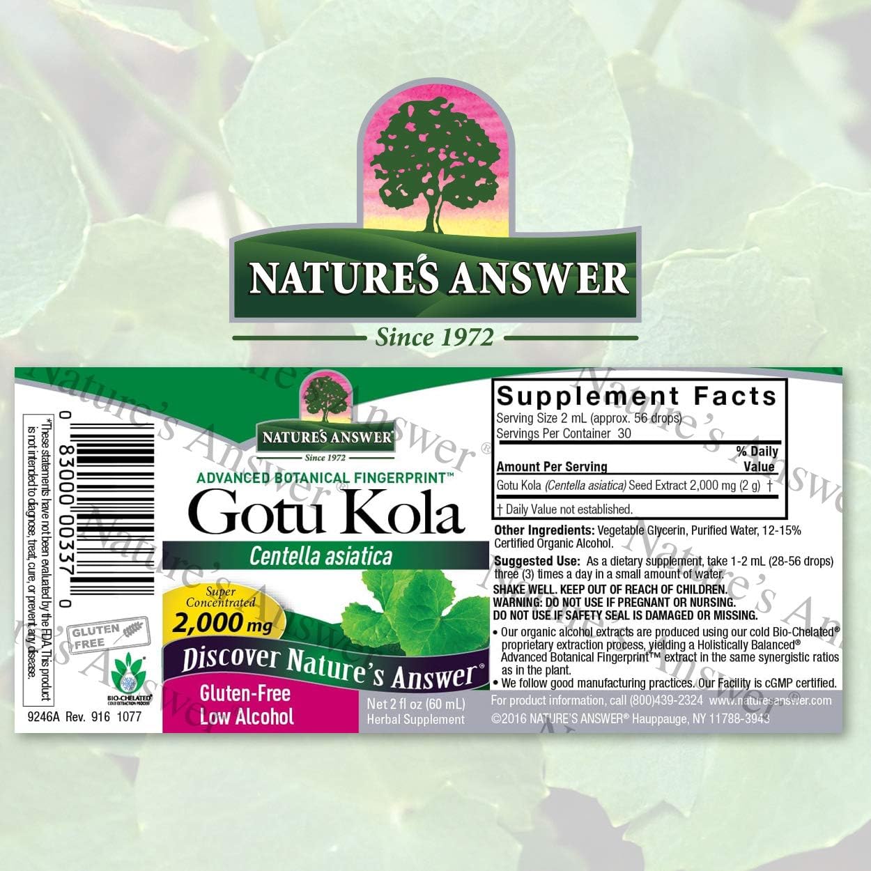 Nature's Answer Gotu Kola Herb with Organic Alcohol, 2- s | Dietary Supplement | Supports a Healthy Immune System | Made in the USA