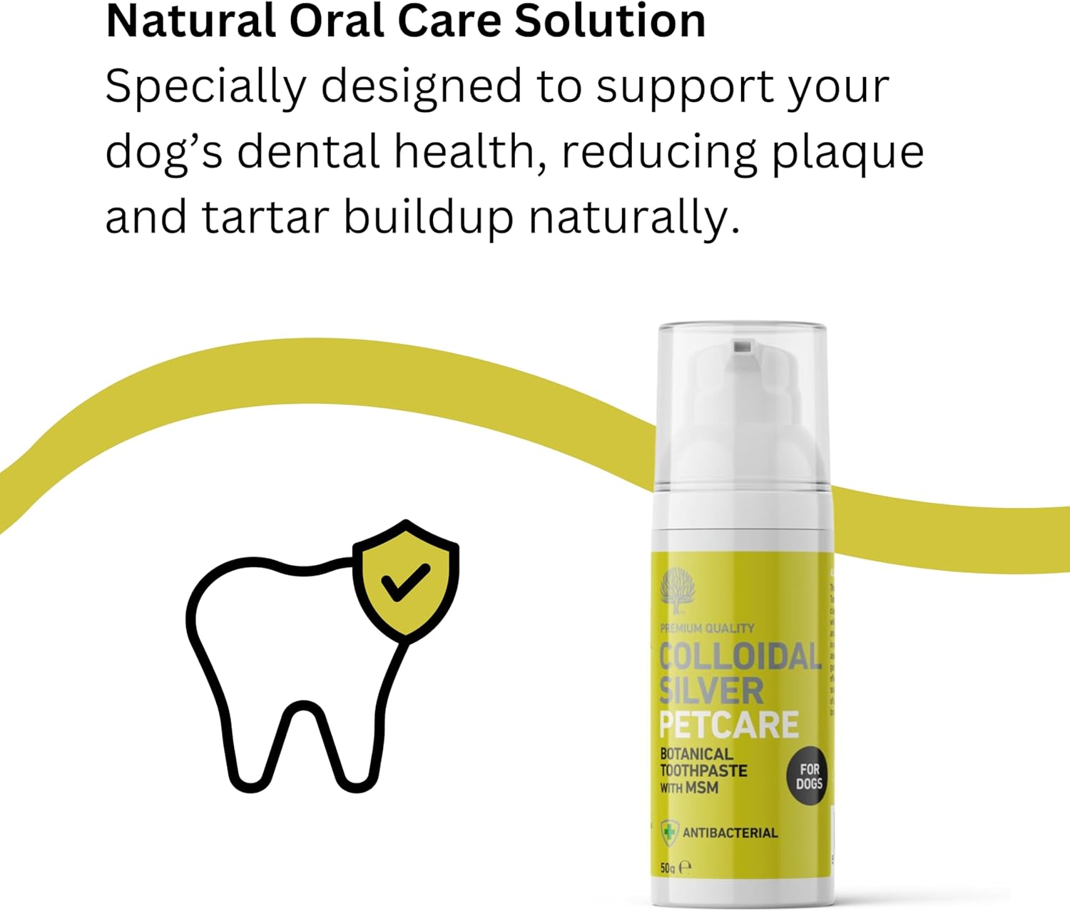 Nature's Greatest Secret Natural Dog Toothpaste 50g with Colloidal Silver & MSM - Fresh Peppermint Flavour - Vegan & Antibacterial Formula - Supports Gum Care & Oral Hygiene - UK Made : Amazon.co.uk: Pet Supplies