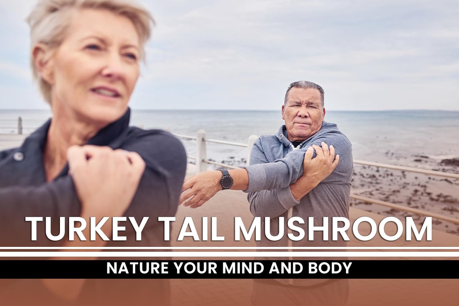 PURE ORIGINAL INGREDIENTS Turkey Tail Mushroom (730 Capsules) No Magnesium Or Rice Fillers, Always Pure, Lab Verified : Health & Household