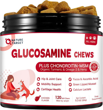 Glucosamine For Dogs, Joint Supplement For Dogs With Chondroitin, Msm, Omega-3, Hemp For Pain Relief, Hip And Joint Chews For Dogs With Calcium For Bone Health, 120 Soft Chews