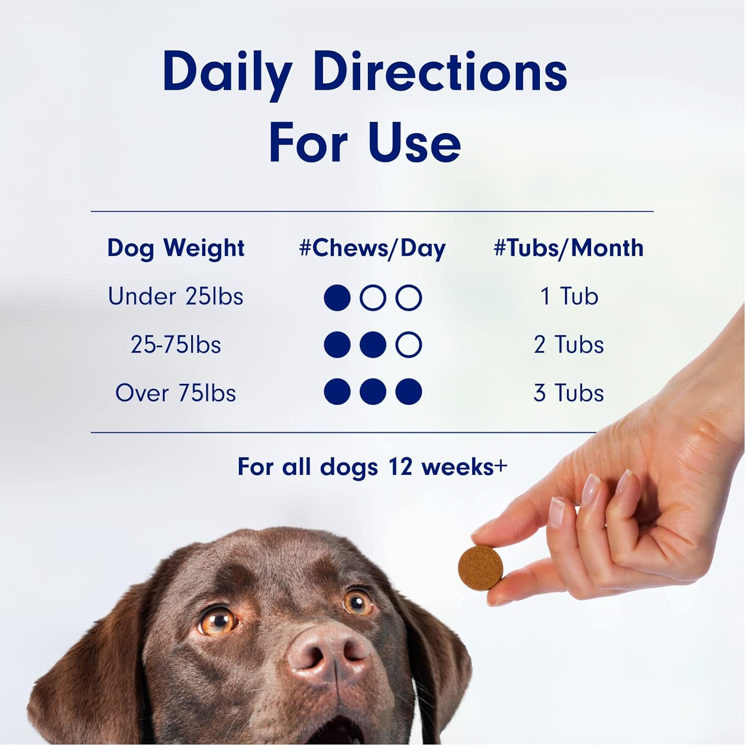 PetLab Co. Allergy & Immune Probiotics for Dogs, Support Seasonal Allergies, Gut & Digestive Health - Pork Flavor - 30 Soft Chews : Pet Supplies