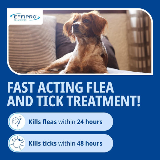 Effipro Flea & Tick Spot-On For Medium Dogs 10-20Kg | Fast-Acting | 4 Pipettes | Vet-Strength Formula | Easy To Apply