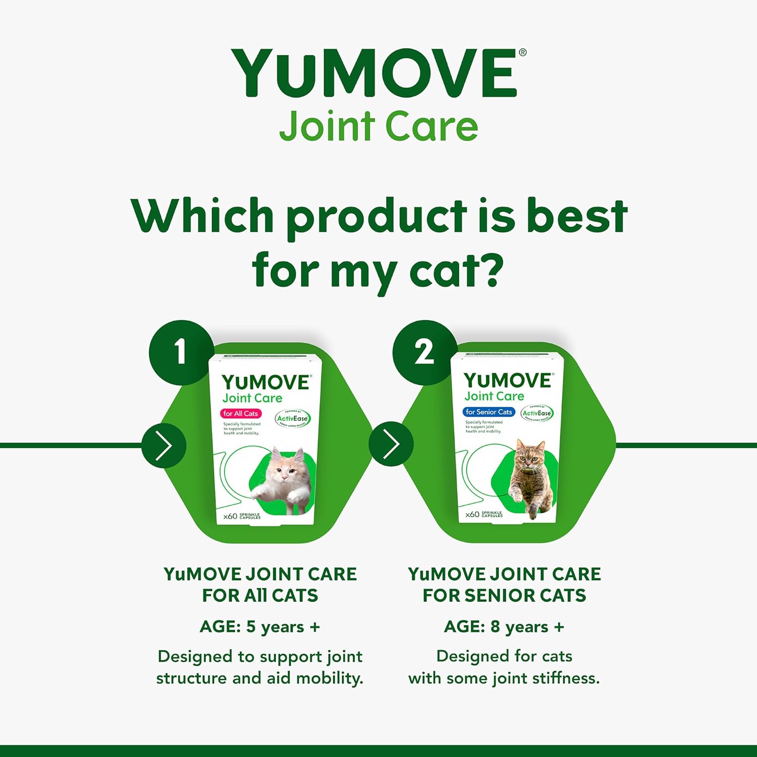 YuMOVE Cat | Joint Supplement for Cats, with Glucosamine, Chondroitin, Green Lipped Mussel, All Ages and Breeds | 60 Capsules :Pet Supplies