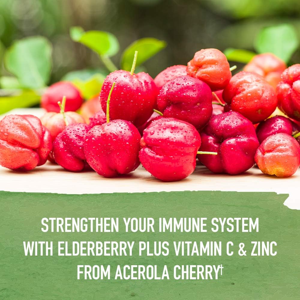 Garden of Life Organics Elderberry Zinc Immune Support for Adults and Kids 12 and Older, Organic Cough & Mucus Immune Syrup with Ivy Leaf, Vitamin C and Echinacea, No Added Sugars, 5 Fl oz : Health & Household