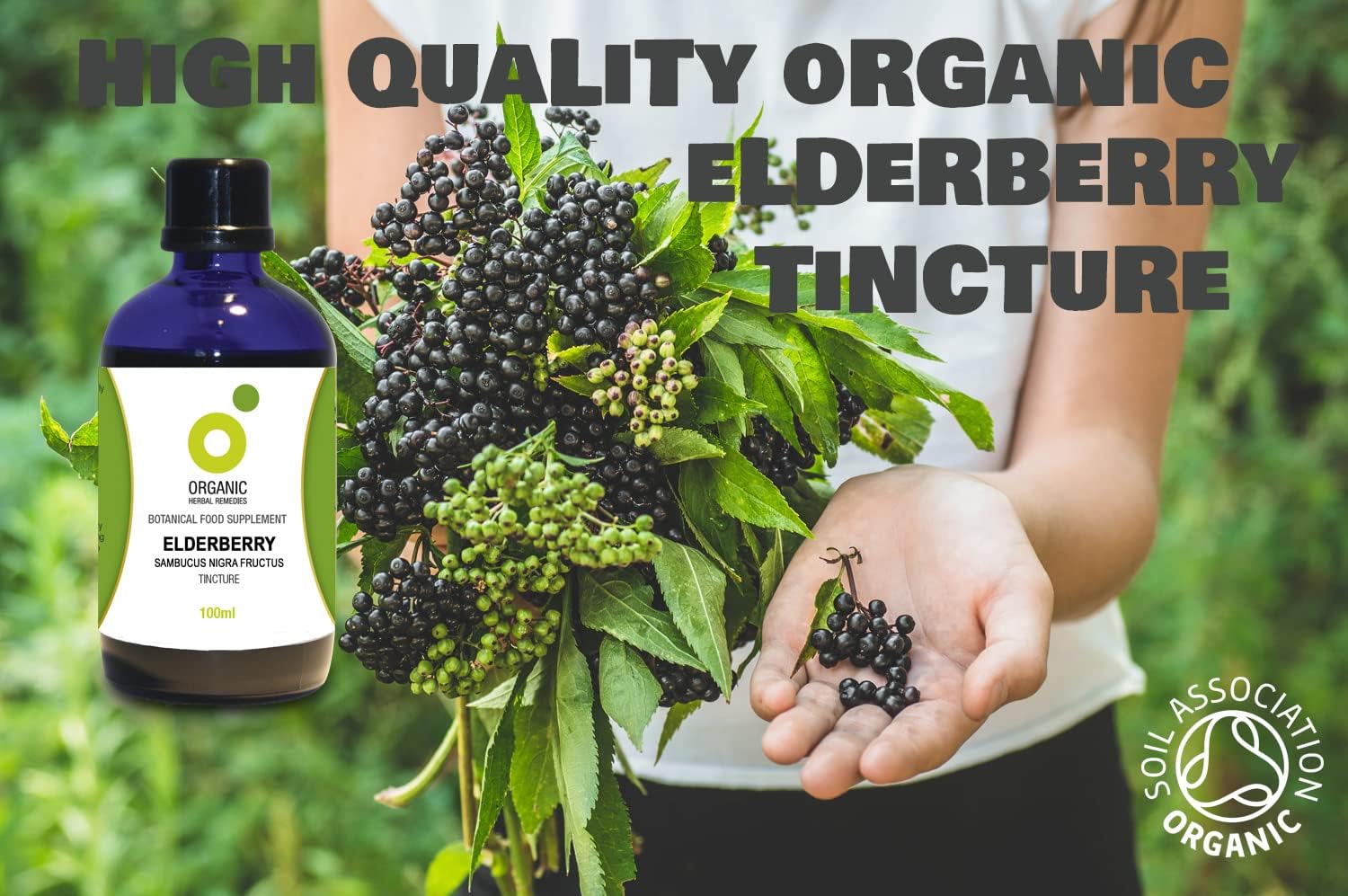 Organic Herbal Remedies 100ml Elderberry Tincture : Amazon.co.uk: Health & Personal Care