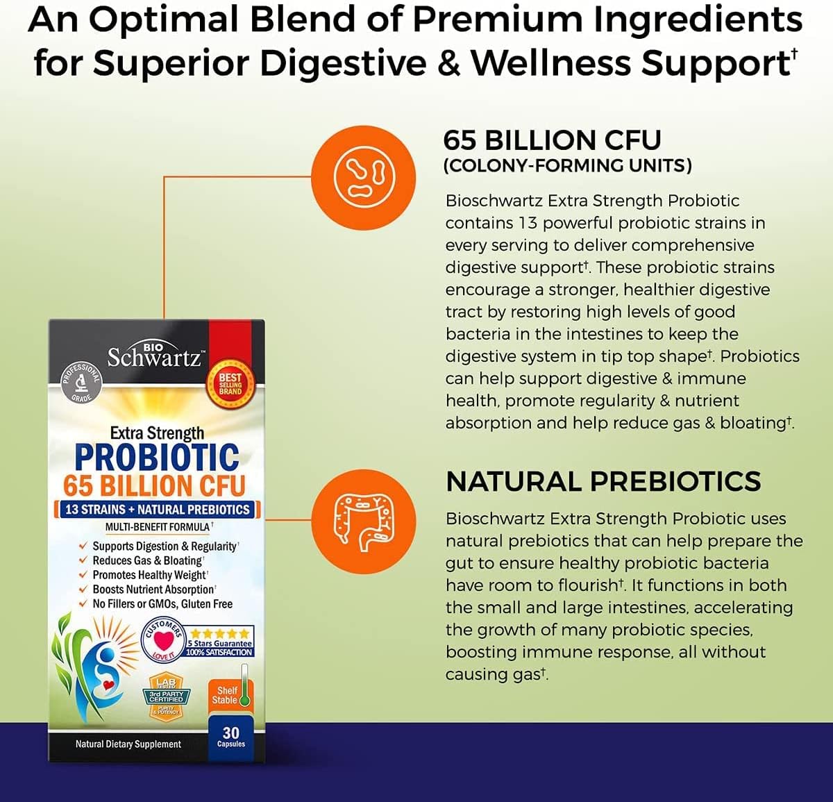 Probiotic 65 Billion - Probiotics with Prebiotic for Women & Men - Lactobacillus Acidophilus Digestive Health Capsules - Targeted Release Technology - Shelf Stable Supplement Non-GMO Dairy Free-30ct