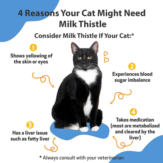 Pet Wellbeing Milk Thistle For Cats - Supports Liver Health, Protects Liver - Glycerin-Based Natural Herbal Supplement - 2 Oz (59 Ml)