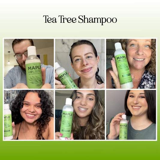 Clarifying Shampoo For Build Up & Oily Hair - Tea Tree Shampoo For Men And Women With Rosemary Essential Oil For Oily Hair And Scalp - Color Safe Vegan Sulfate Silicone & Paraben Free (8 Fl Oz)