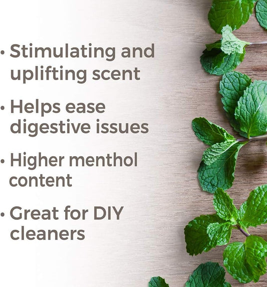 Plant Therapy Peppermint Western U.S. Essential Oil 30 Ml (1 Oz) 100% Pure, Undiluted, Therapeutic Grade