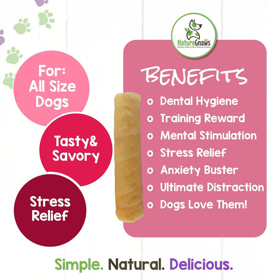 Nature Gnaws Pork Skin Chews For Dogs - Premium Natural Tasty Jerky Treats - Long Lasting Dog Chew Bones - Rawhide Free 6 Count (Pack Of 1)