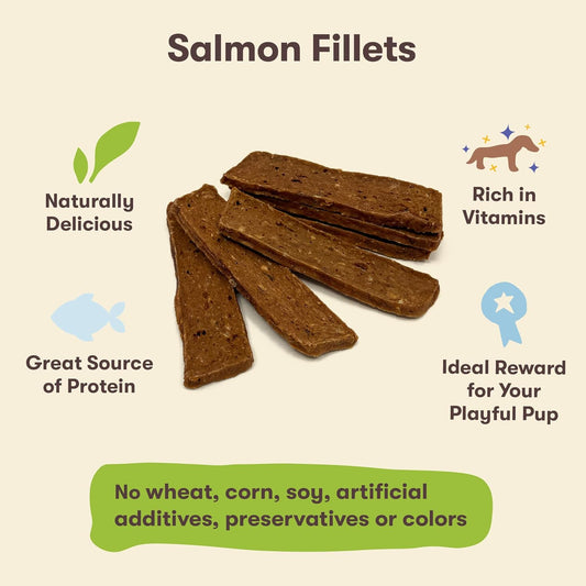 Pet 'n Shape Salmon Fillets, 16 oz - Healthy, Protein Rich Treats for Dogs : Pet Supplies