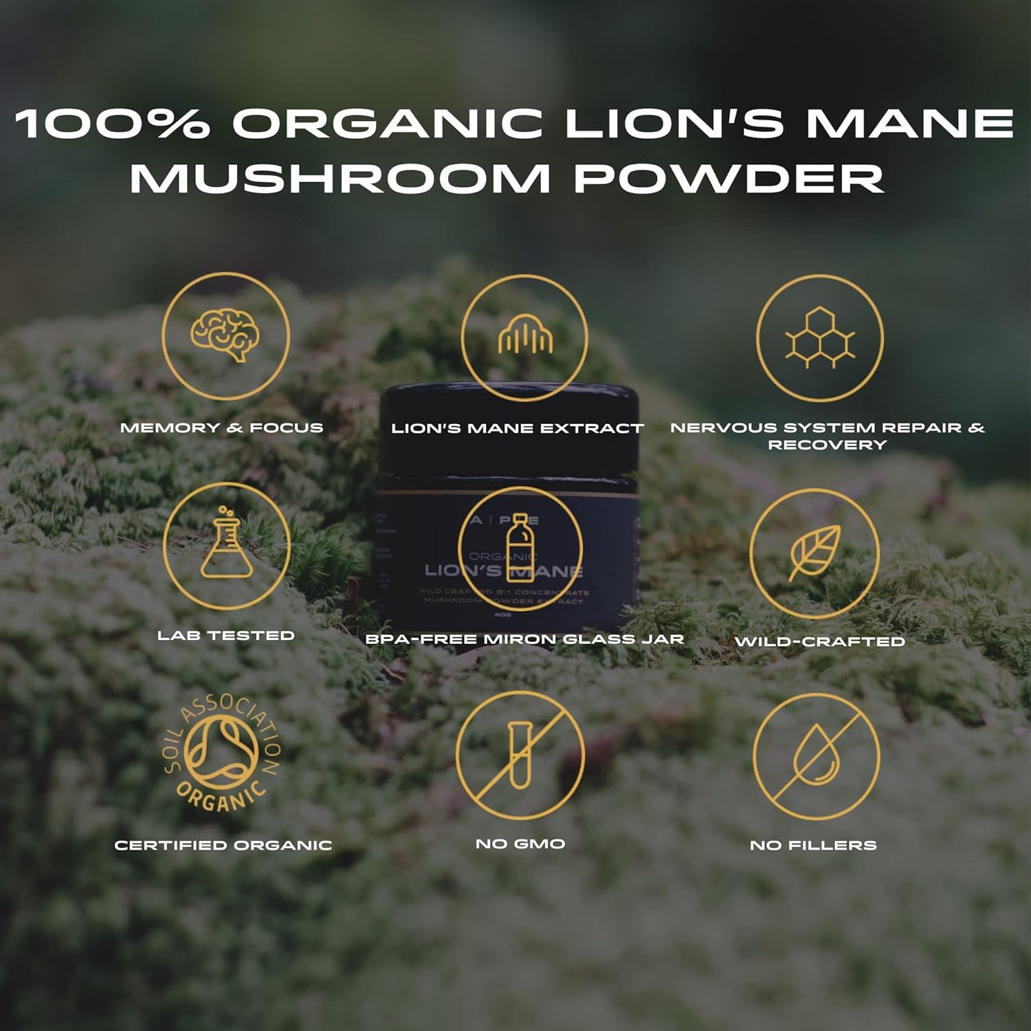 APE Nutrition Organic Lion’s Mane Mushroom Extract Powder - Certified Organic & Wild Crafted, Improves Memory & Focus, UK Supplements, Pure Concentrated Extract, 40G (40-80 Servings) : Amazon.co.uk: Health & Personal Care