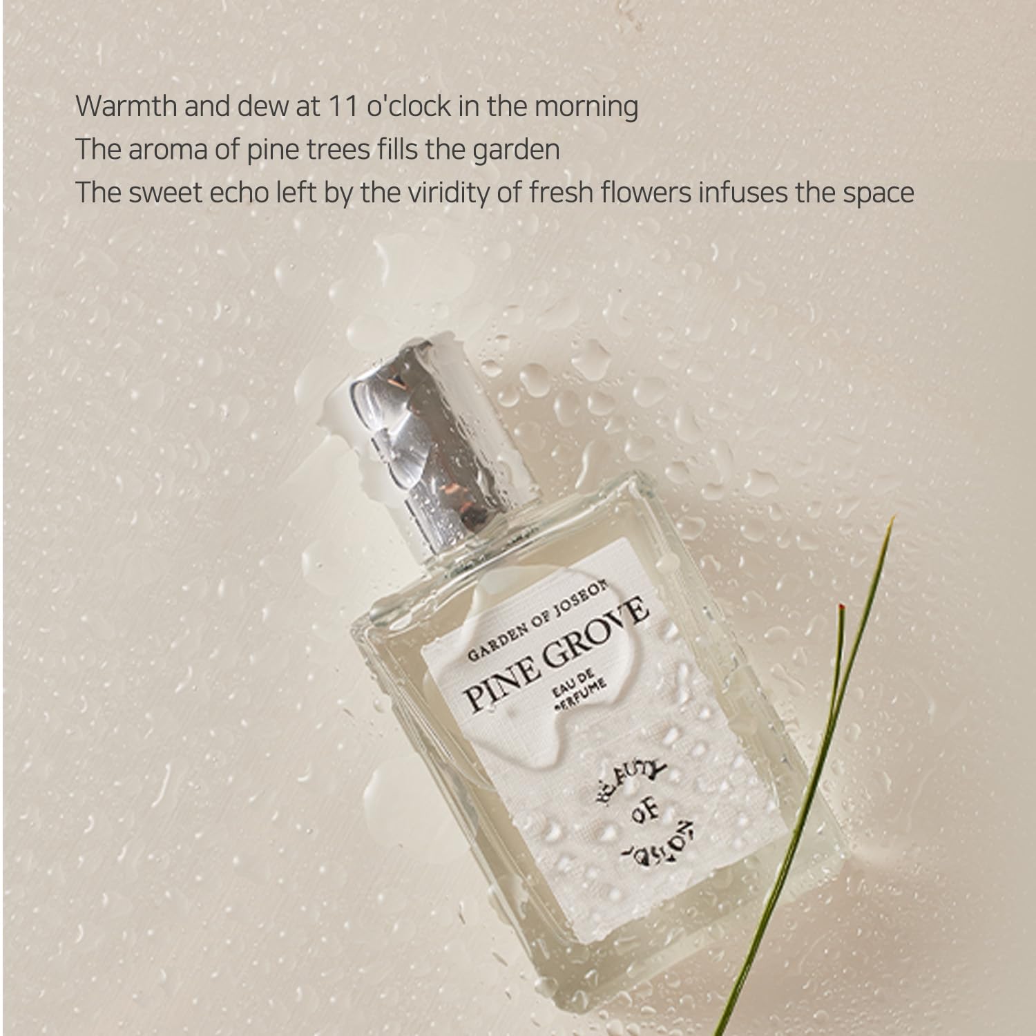 Beauty Of Joseon Pine Grove : Eau De Perfume (30Ml, 1Fl.Oz.)