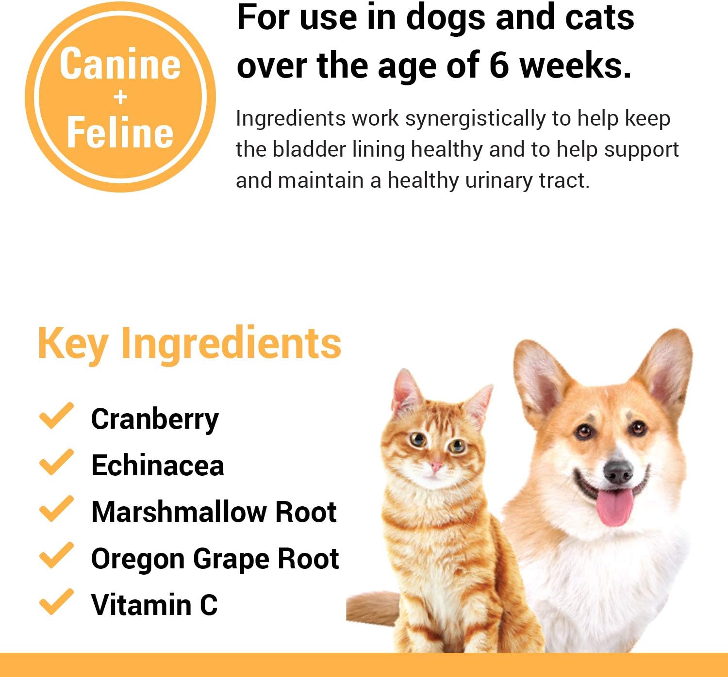 Vet Classics Cranberry Comfort Urinary Tract Pet Supplement for Dogs, Cats – Maintains Dog Bladder Health, Cat Bladder Control – Pet Supplements for Incontinence – 65 Soft Chews : Pet Supplies
